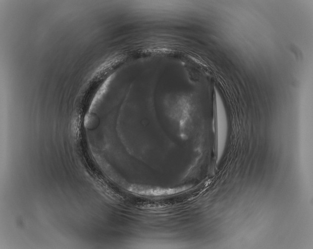 X0000111120735200907281028