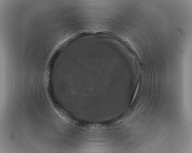 X0000111120736200907281028