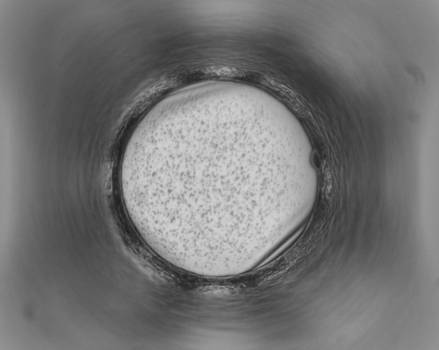 X0000111120738200907281029