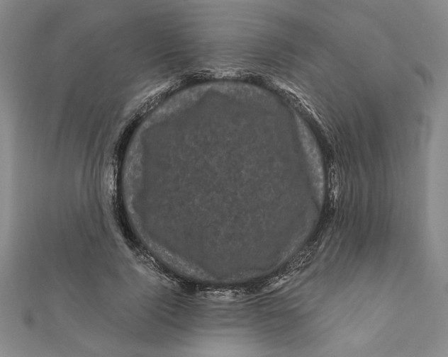 X0000111120740200907281029