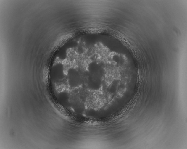 X0000111120742200907281029