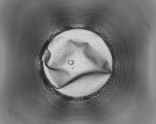 X0000111120743200907281029