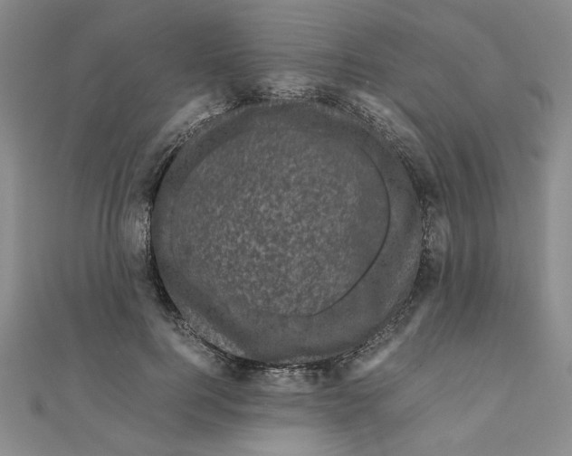X0000111120744200907281029