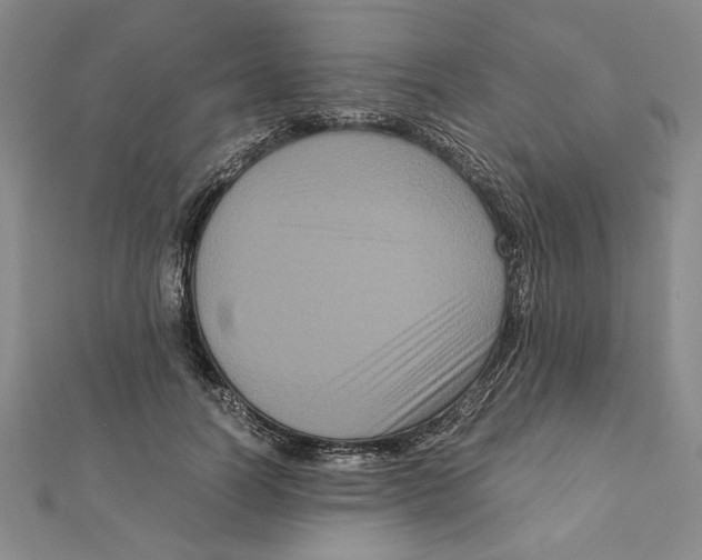 X0000111120746200907281029