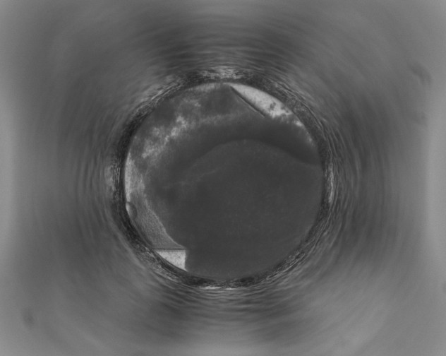 X0000111120747200907281029
