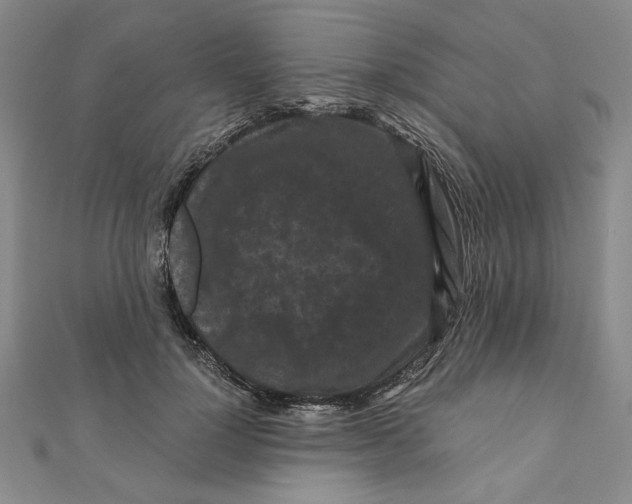 X0000111120748200907281029