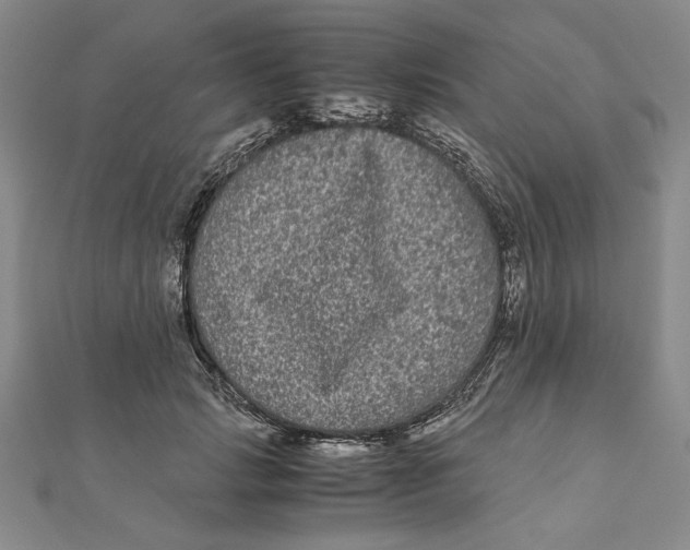 X0000111120749200907281029
