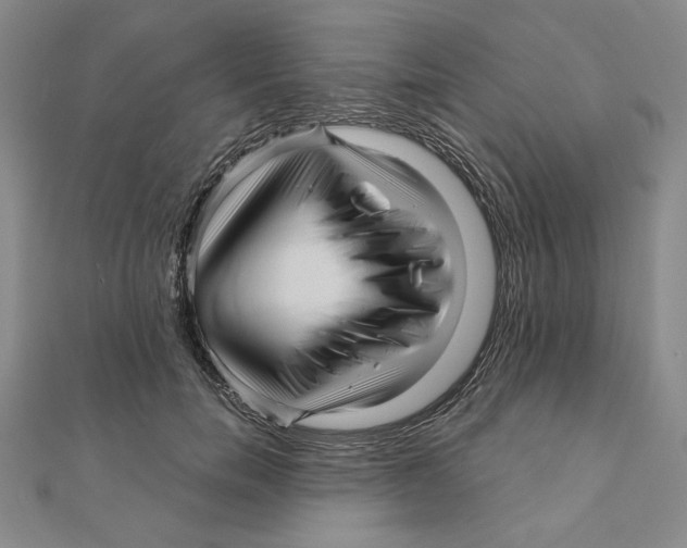 X0000111120750200907281029