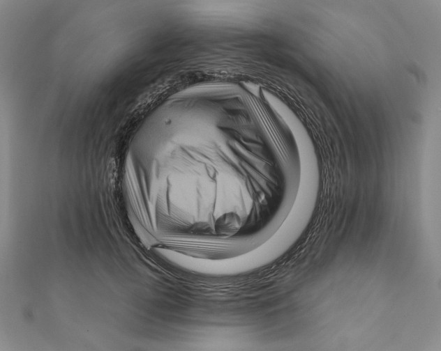 X0000111120752200907281029