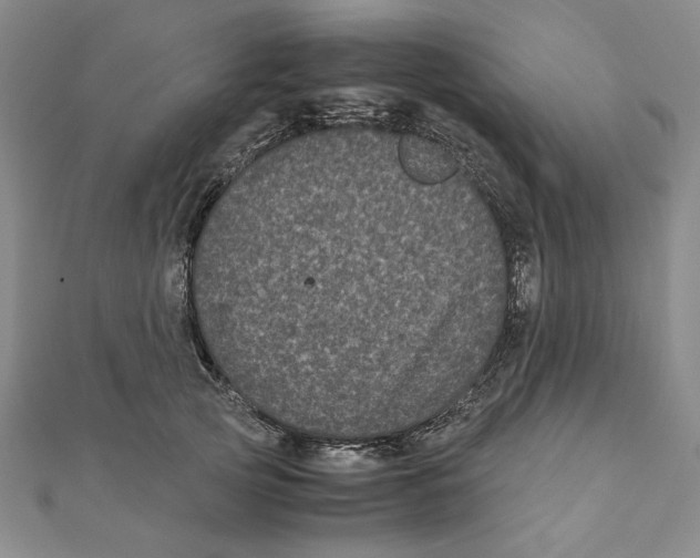 X0000111120753200907281029