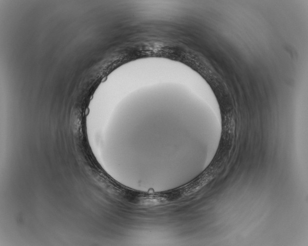 X0000111120754200907281029