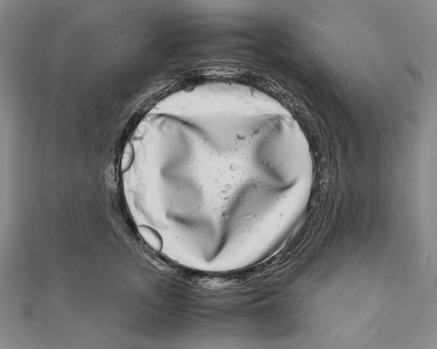 X0000111120755200907281029