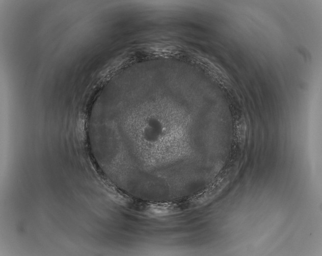 X0000111120757200907281029