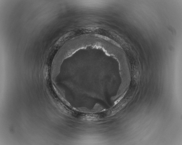 X0000111120758200907281029