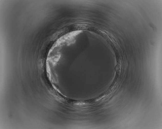 X0000111120759200907281029