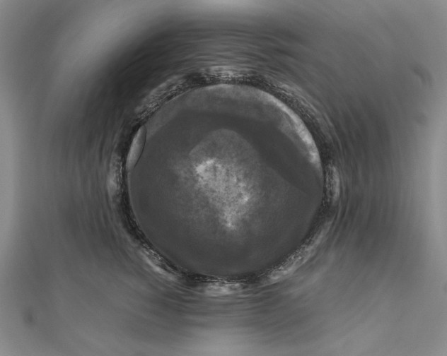 X0000111120760200907281029