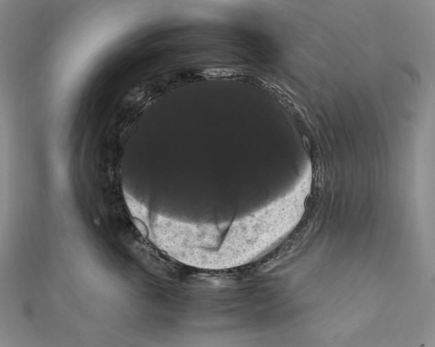 X0000111120763200907281029