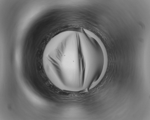 X0000111120764200907281029