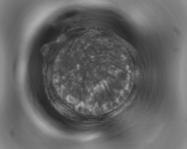 X0000111120765200907281029