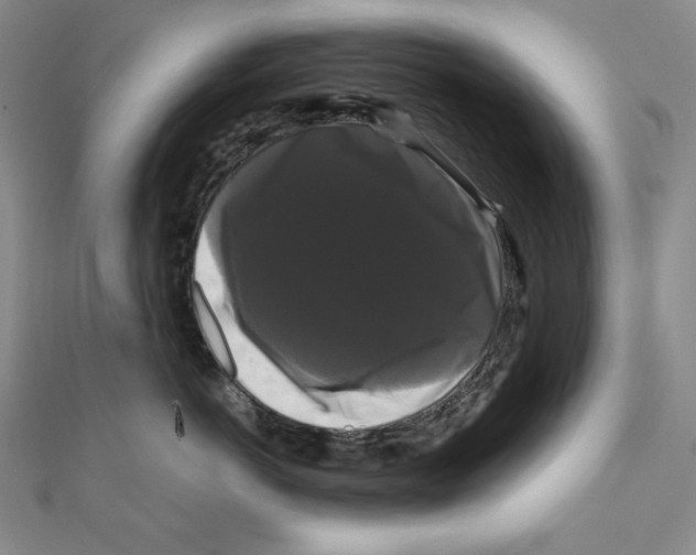 X0000111120766200907281029
