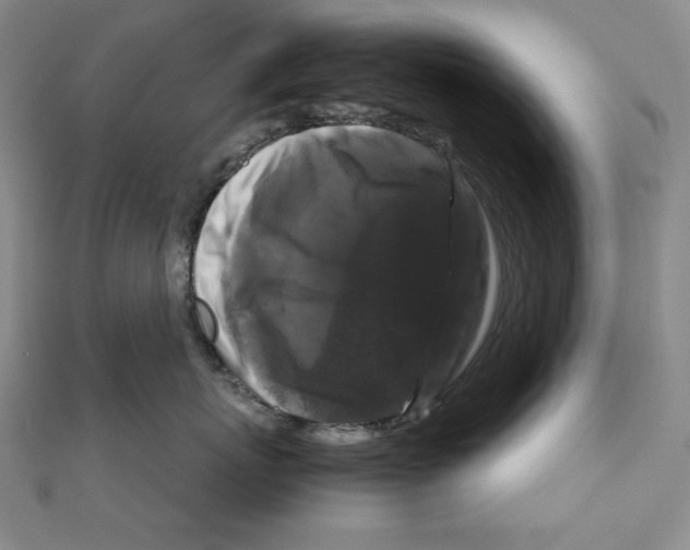 X0000111120767200907281029