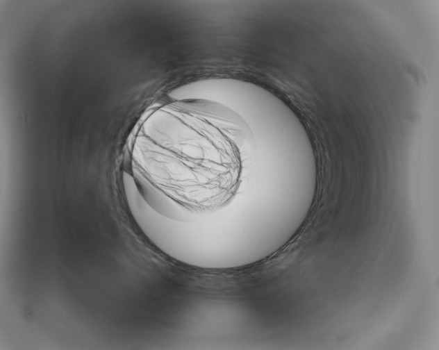 X0000111120768200907281029