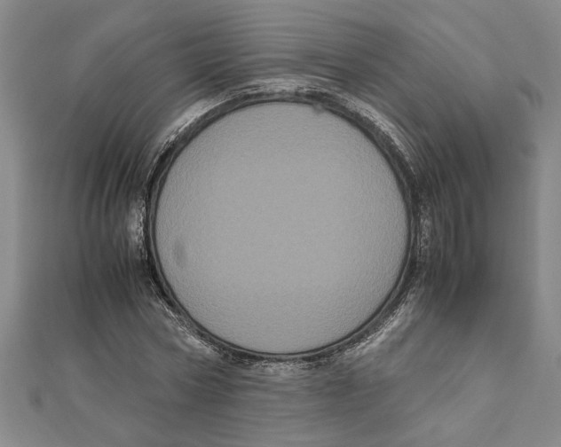 X0000111120778200907281028