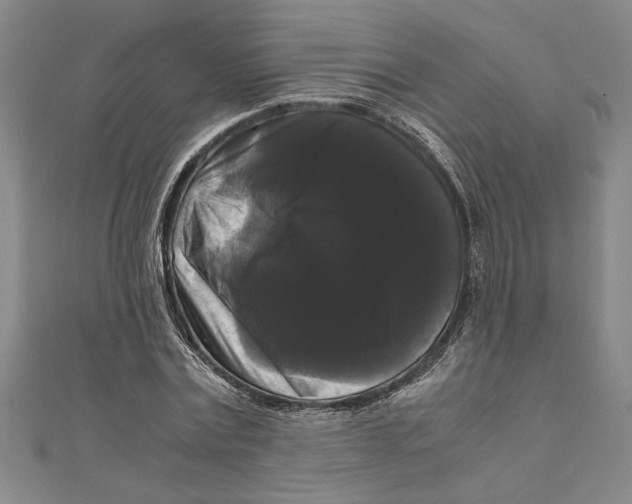 X0000111120779200907281028