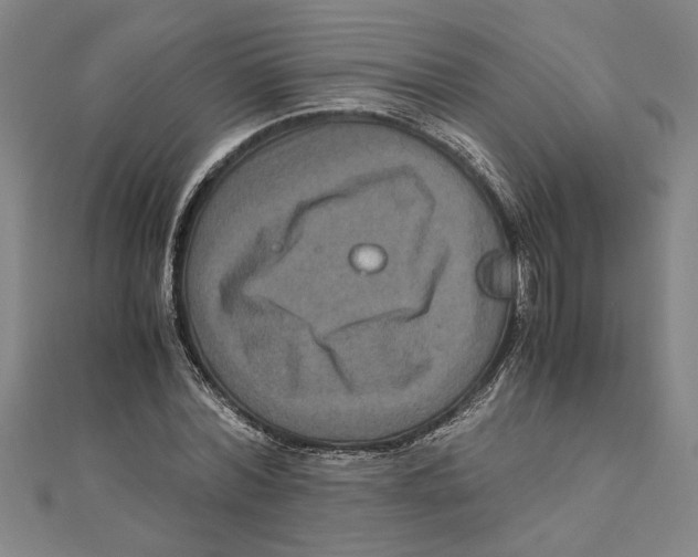 X0000111120780200907281028