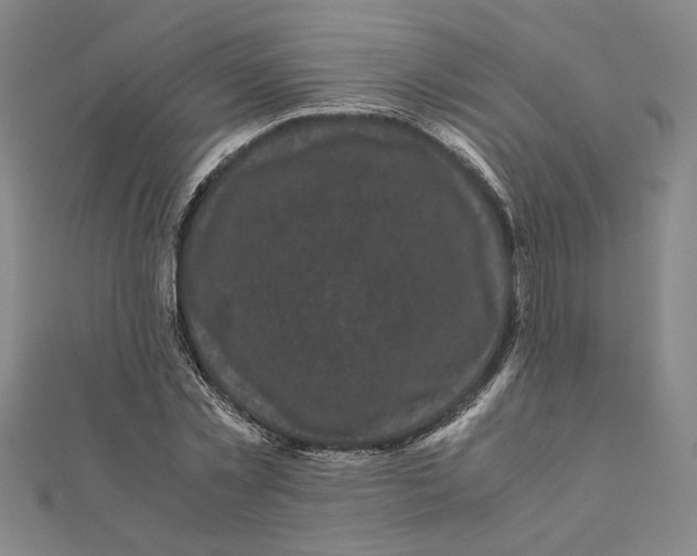 X0000111120781200907281028