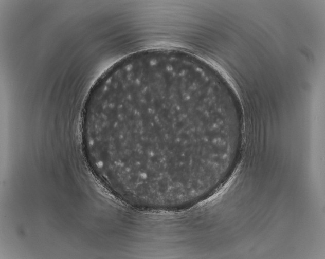 X0000111120783200907281028