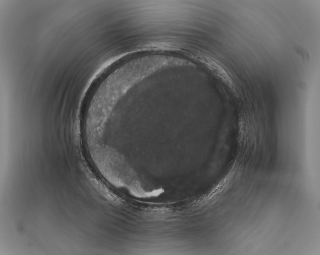 X0000111120784200907281028
