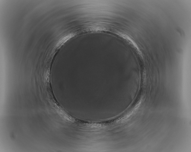 X0000111120785200907281028