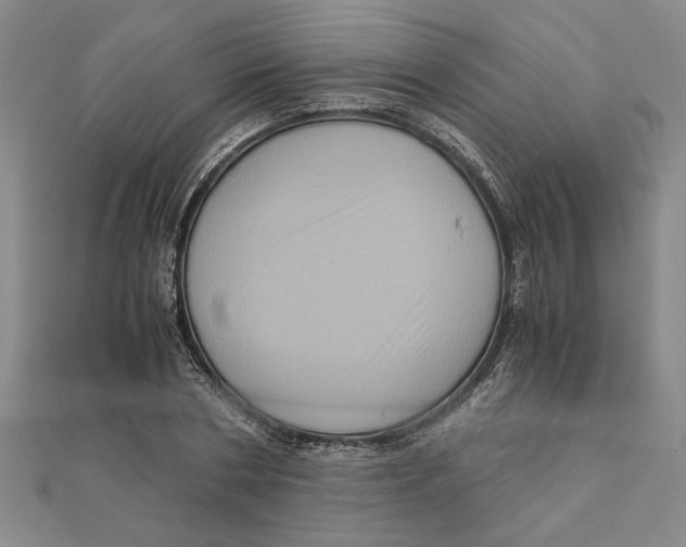 X0000111120786200907281028