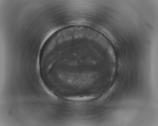X0000111120788200907281028