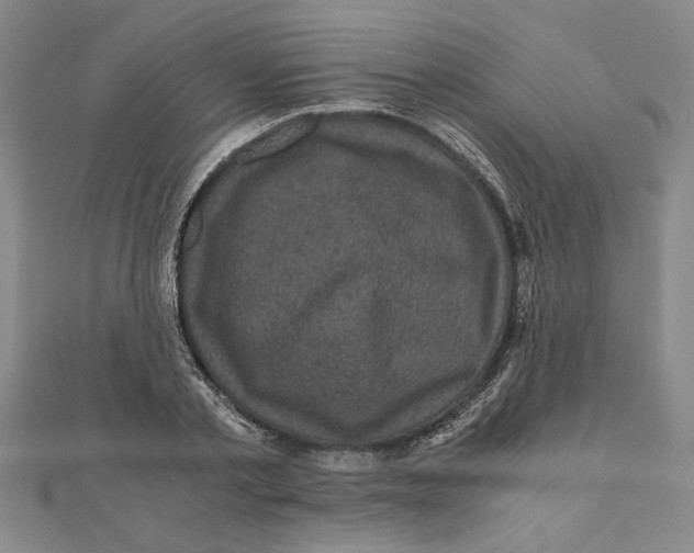 X0000111120789200907281028