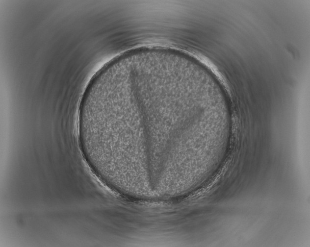 X0000111120791200907281028
