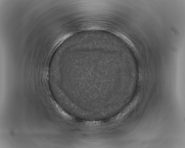 X0000111120793200907281028