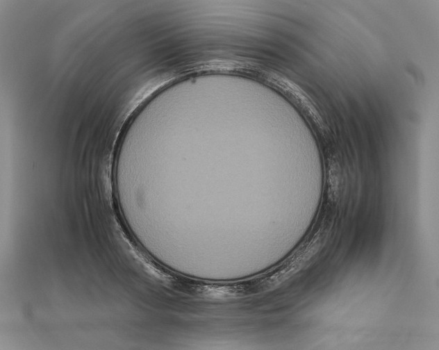 X0000111120794200907281028