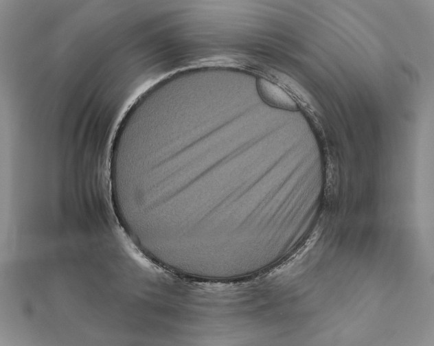 X0000111120800200907281028