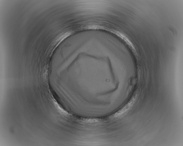 X0000111120801200907281028