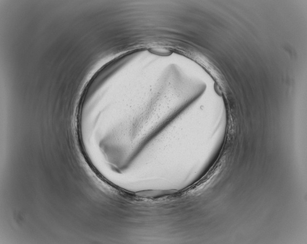 X0000111120803200907281028
