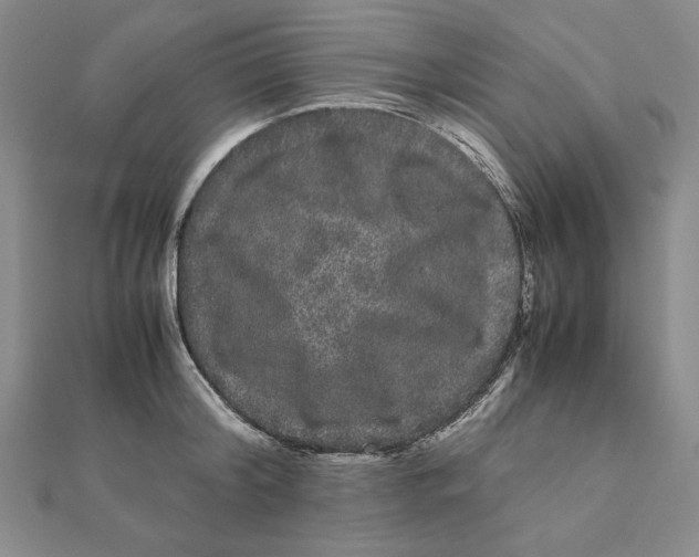 X0000111120804200907281028