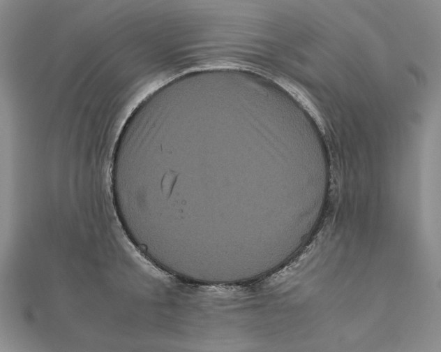 X0000111120805200907281028