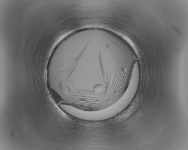 X0000111120807200907281028