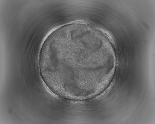 X0000111120808200907281028