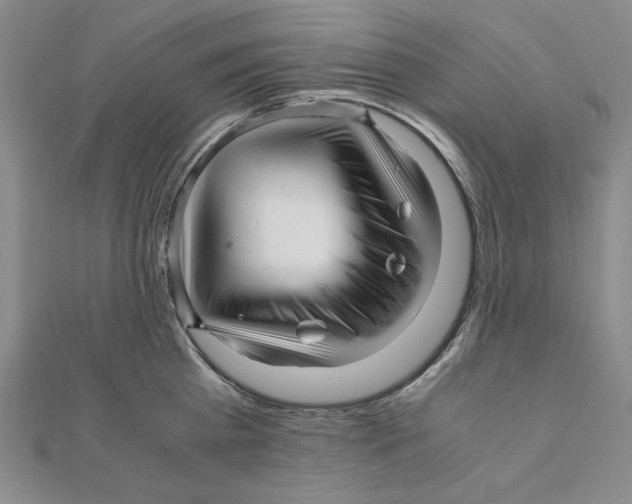 X0000111120809200907281028