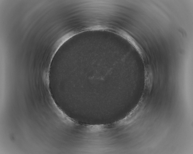 X0000111120810200907281028