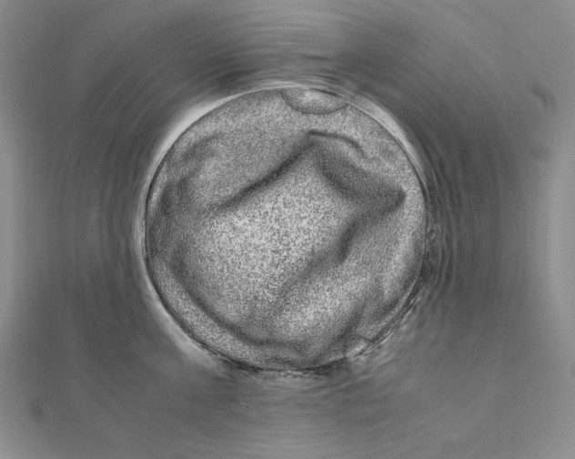 X0000111120811200907281028