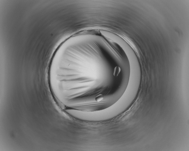 X0000111120813200907281028